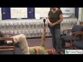 Funniest Video In The World !! You Will Laugh!! - Youtube