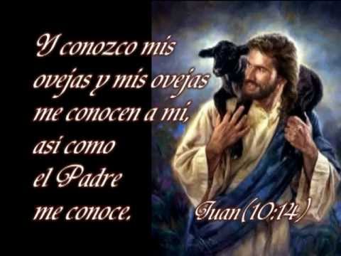 LETRA VIDEO CANCION VEN NECESITO letra video cancion ven necesito: