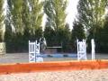 BELLE CHUTE DE CHEVAL