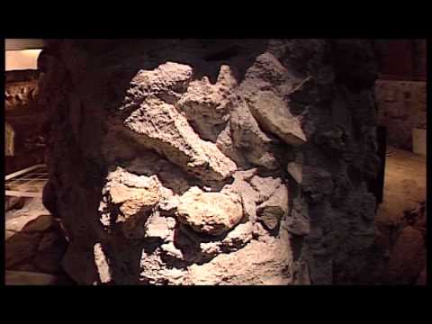 Vídeo presentación del MARQ- Museo Arqueológico Provincial de Alicante.