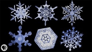 The Science of Snowflakes | It's Okay to be Smart | PBS Digital Studios