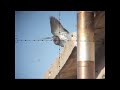 Air Rifle Pigeon Hunting Slow-Motion (Nov 4, 2010)