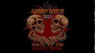 Summer Breeze 2013 Teaser