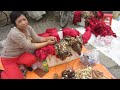 Phiên chợ chim cảnh Hà Nội