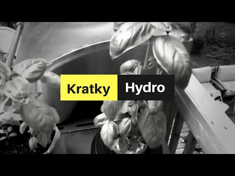 Kratky method hydroponic herbs -- Growing without power or soil ...