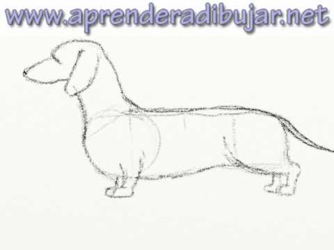 DIBUJOS DE PERROS SALCHICHAS dibujos de perros salchichas: