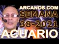 Video Horscopo Semanal ACUARIO  del 12 al 18 Septiembre 2021 (Semana 2021-38) (Lectura del Tarot)