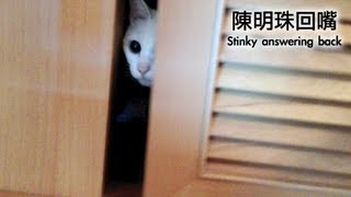 陳明珠回嘴 Stinky answer back