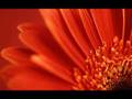 Leann Rimes - Amazing Grace - Youtube