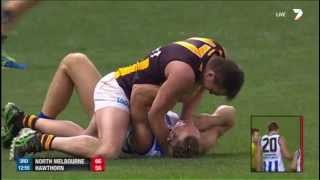 Lake, Petrie trade blows in ugly dust up - AFL