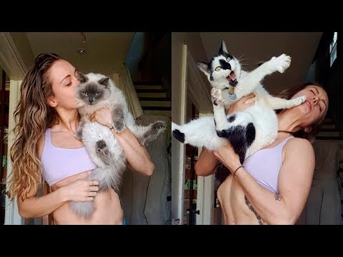 Awesome Funny Pet Animals Life Video - Funny Animal Fails Compilation 2019