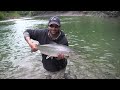 Atlantic Salmon FlyFishing/Peche du Saumon Atlantique
