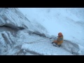 [The Flying Scotsman! - Cool bit of Winter Climbing]