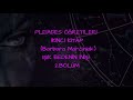 PLE?ADES ??RET?LER? ?K?NC? K?TAP (Barbara Marciniak) I?IK BEDEN?N ?N??? 2.B?L?M