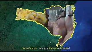 Santa Catarina - Liderana e Inovao