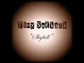 Tiny Setback - Skybell