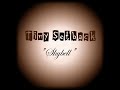 Tiny Setback - Skybell
