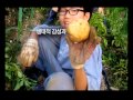 2015 농촌유학 홍보동영상
