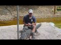 Alligator Show in the Everglades