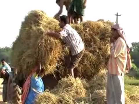 India has emerged as a major gainer at the WTO Ministerial Meet at Bali as members accepted its demand on food security that will protect India and other developing countries from penalties for breaching the domestic subsidy cap of 10% of value of production.
In return, India has agreed to a new agreement on trade facilitation that will ease controls at ports and airports and may provide a boost of up to 1 trillion dollars to the global economy.