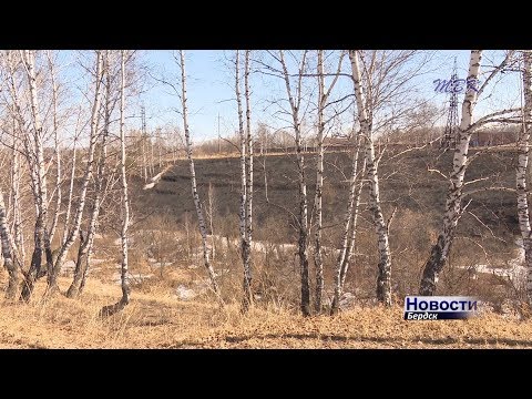 В Бердске зафиксированы первые случаи возгорания сухой травы В Бердске зафиксированы первые случаи возгорания сухой травы