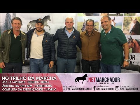 #34 - NO TRILHO DA MARCHA - 21/05/2018 - Roberto Ribas Árbitro da ABCCMM - MANGALARGA MARCHADOR