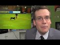 Animals Interrupt Sporting Events: A Critical Analysis