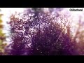 Ocean Chill out Music for Relaxation / Meditation / Wellness / Yoga / Lounge / Entspannungsmusik