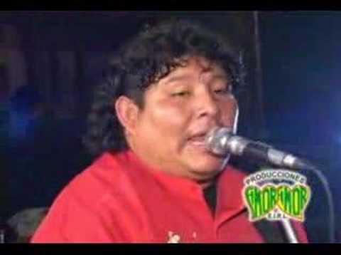 VIDEO OSITO PARDO video osito pardo: