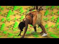 Major Lazer
