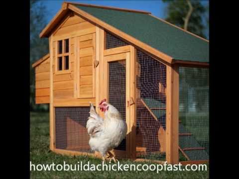 Fast to Build Chicken Co-op