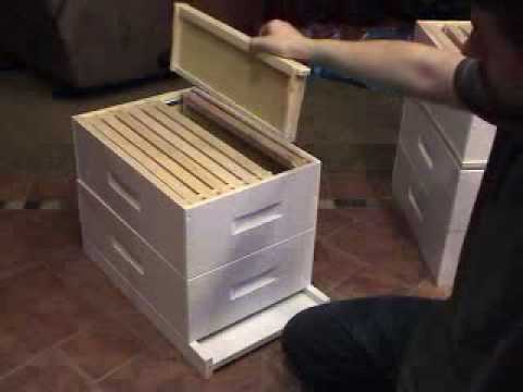 Basic components of the Langstroth bee hive - YouTube