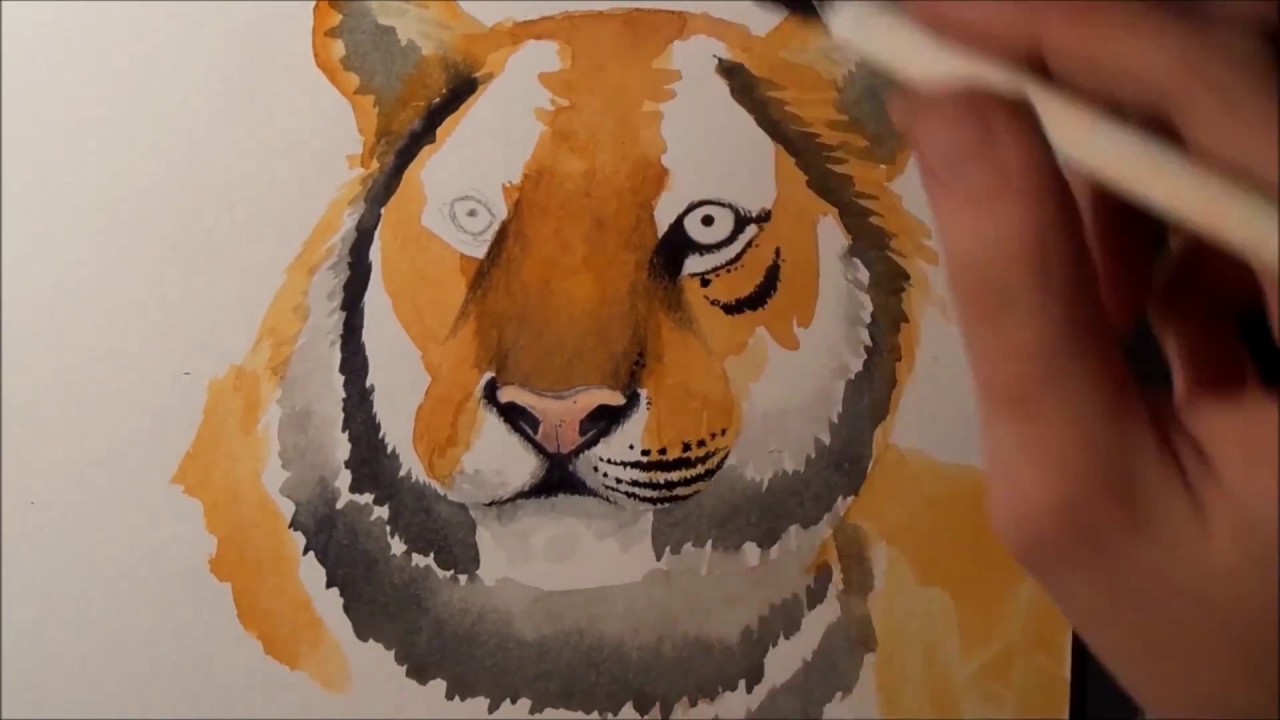 Tiger zeichnen Time lapse YouTube