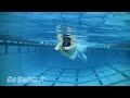 Freestyle - Catch-Up Catch