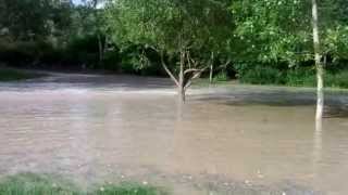 Prince's Island Flooding in Calgary