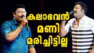 Kalabhavan Mani Nadan Pattukal - All Songs Lyrics Videos