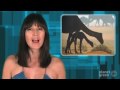 Planet 100- Water Desalination Explained