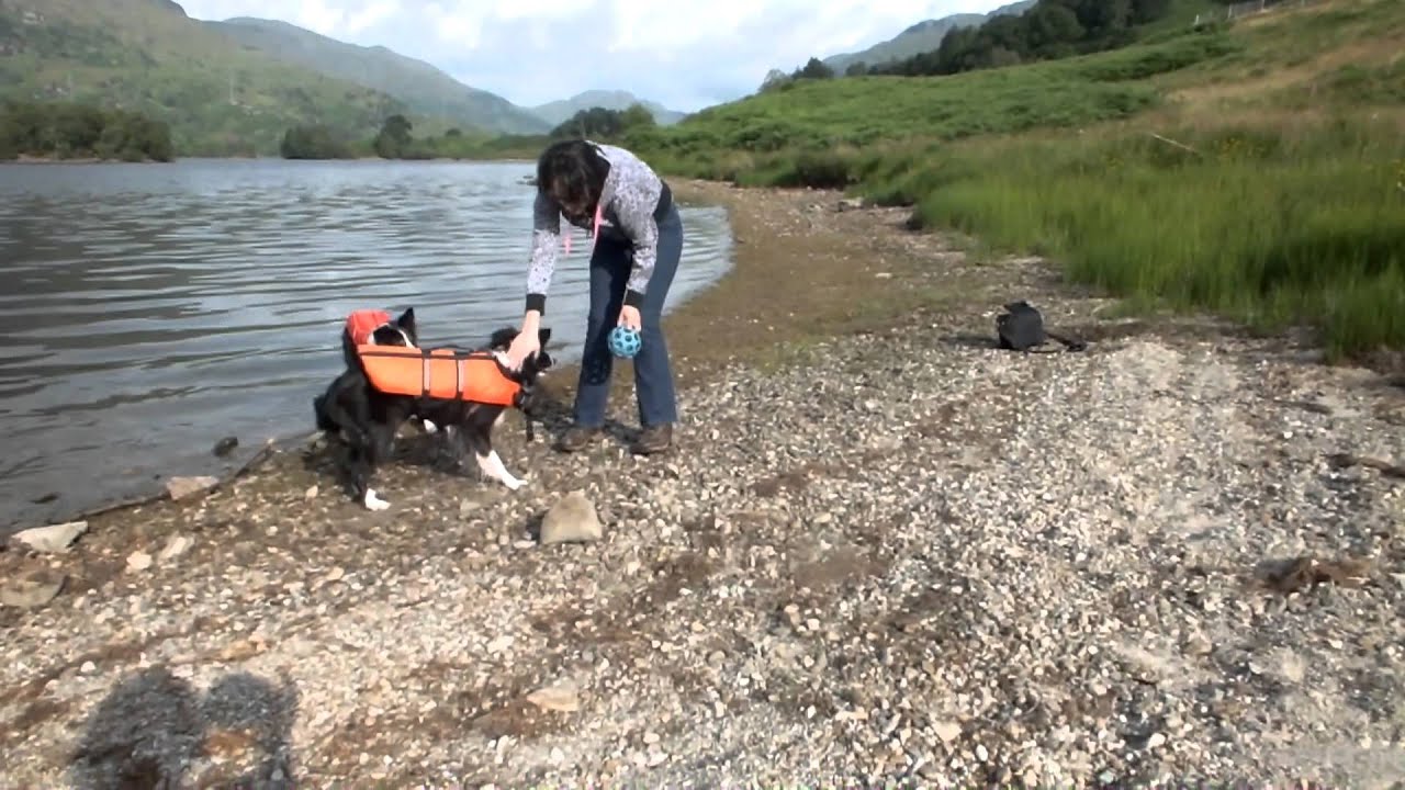 Dog Tricks and Fun at the Holiday in Scotland - YouTube