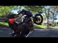 Harley Wheelies 11