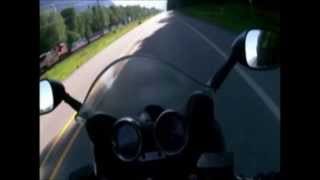 Motorcyclist Hits Bear: Helmet Cam Captures Highway Collision