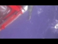 Two rescued from Gulf of Mexico