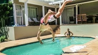 DIVE STUNT FAIL