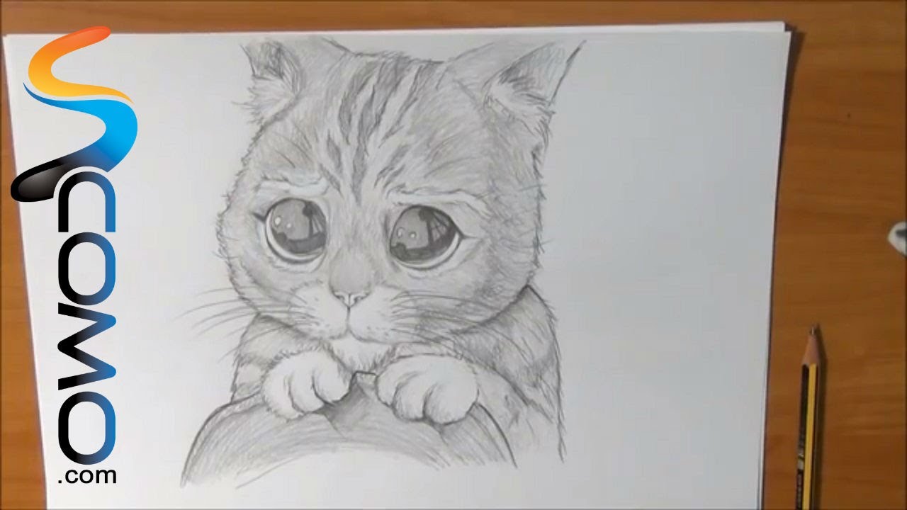 Dibujar al Gato con Botas de Shrek - YouTube