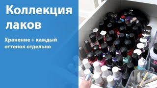 Коллекция лаков для ногтей / Nail polish collection