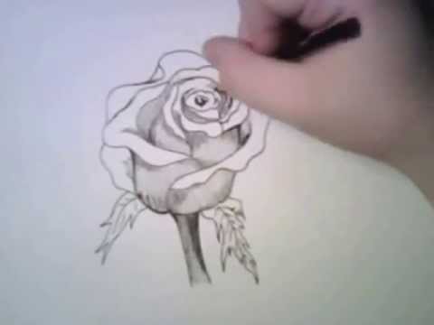 Como Dibujar Una Rosa - Youtube