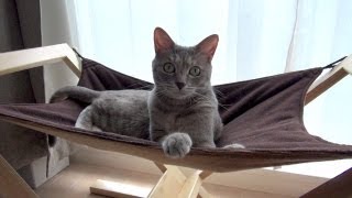 ハンモッカーズ - Cat Hammock -