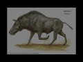Top 10 Prehistoric Mammal Predators
