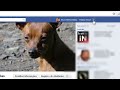 Thumbnail 1 for EXCLUIR O FACEBOOK Cancelar Deletar Apagar Definitivo Thumbnail 1 for EXCLUIR O FACEBOOK Cancelar Deletar Apagar Definitivo