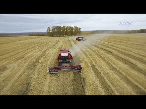 Искитимский район. «Урожай - 2018» Искитимский район. «Урожай - 2018»