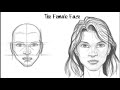 How to Draw the Female Face